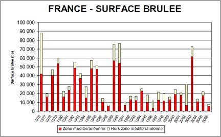France - tableau de surface brûlée de 1976 à 2006