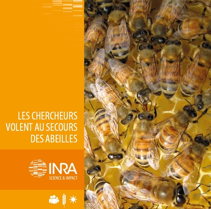INRA - Les chercheurs volent au secours des abeilles