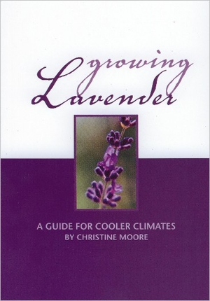 Growing Lavender - Christine Moore
