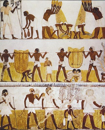 >Travaux des moissons dans l'Ancienne Egypte