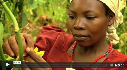 We helped chemical giant Firmenich establish its CSR credentials with this international award winning corporate film shot in Uganda.
