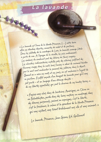 Provence (recueil de textes) - Jean Giono - ISBN : 9782070392964 - Ed. Gallimard - 1995