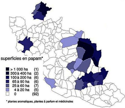 Culture des papam dans le Vaucluse, source RGA 2000