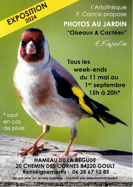 11 mai au 1er septembre 2024, l'Artothque F. Cance propose Photos au jardin - Oiseaux & Cactes