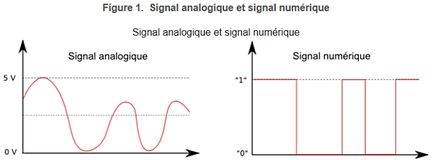 Signal analogique et signal numérique