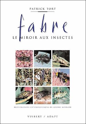 Le miroir aux insectes - Patrick Tort - Adapt/Vuibert
