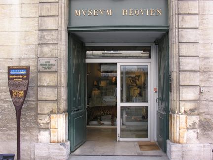 Muséum Requiem - Avignon - Vaucluse