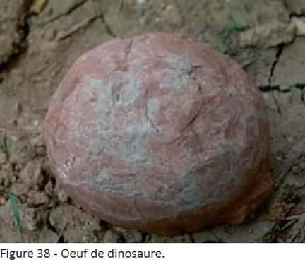 Oeuf de dinosaure du site fossilifère de la Montagne Saint-Victoire - Bouches-du-Rhône