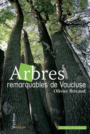 Olivier Bricaud - Arbres remarquables de Vaucluse